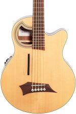 Basse รฉlectro-acoustique-warwick alien deluxe 4 hybrid thinline