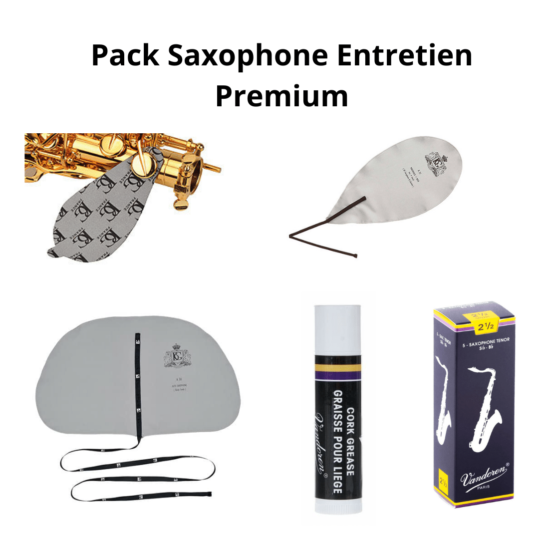 Kit de nettoyage et d'entretien des instruments, pour Saxophone