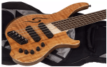 DINGWALL afterburner II darkglass
