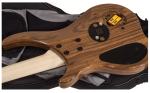 DINGWALL afterburner II darkglass